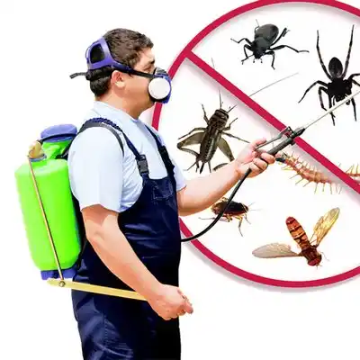 pest control Flemington
